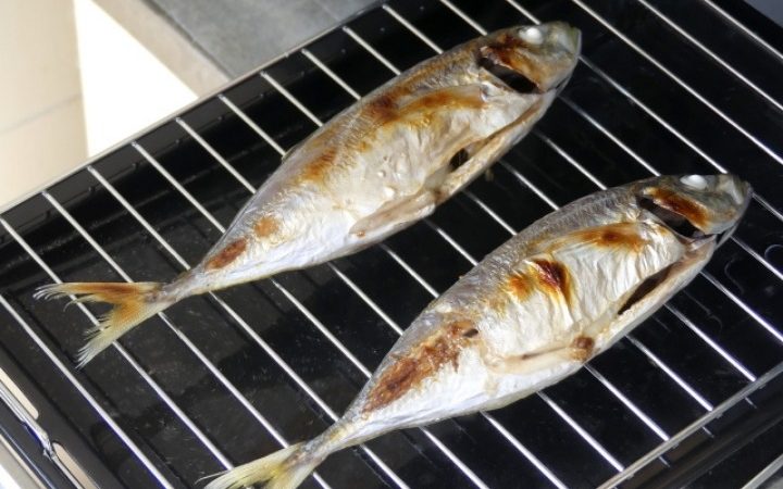 japanese fish grill