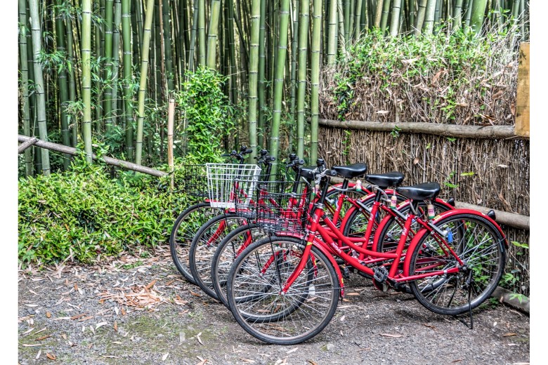 Important things to remember when biking in Japan