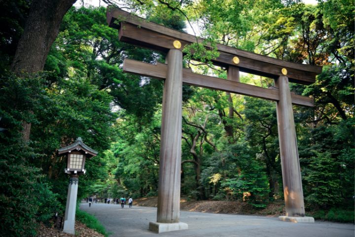 Tokyo Famous Temples and Shrines- Meijijingu shrine