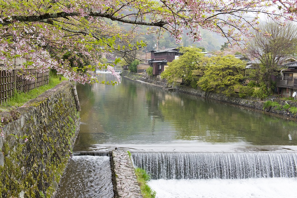 5 Reasons Why I Choose to Live in Japan