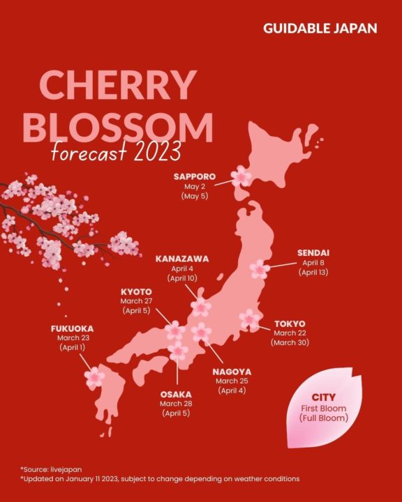Guidable cherry blossom viewing map
