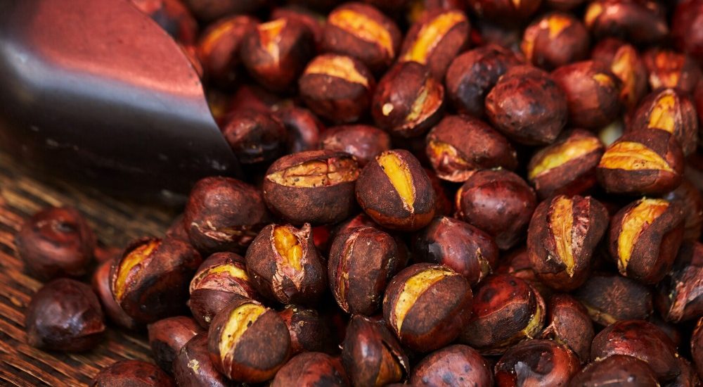 chestnut, kuri, marron all the names of chestnut in Japan and how to enjoy them