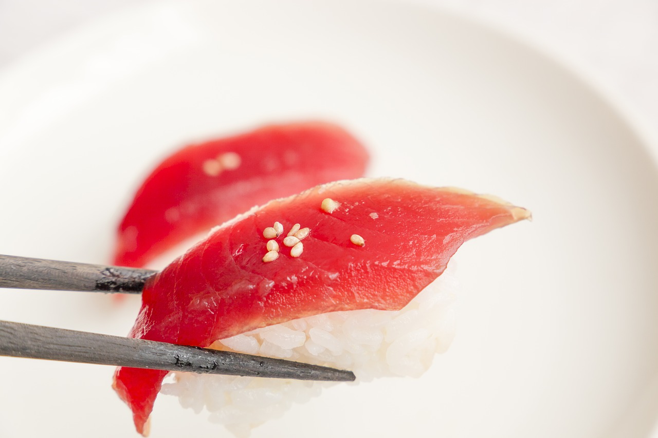 autumn fish in japan, tuna