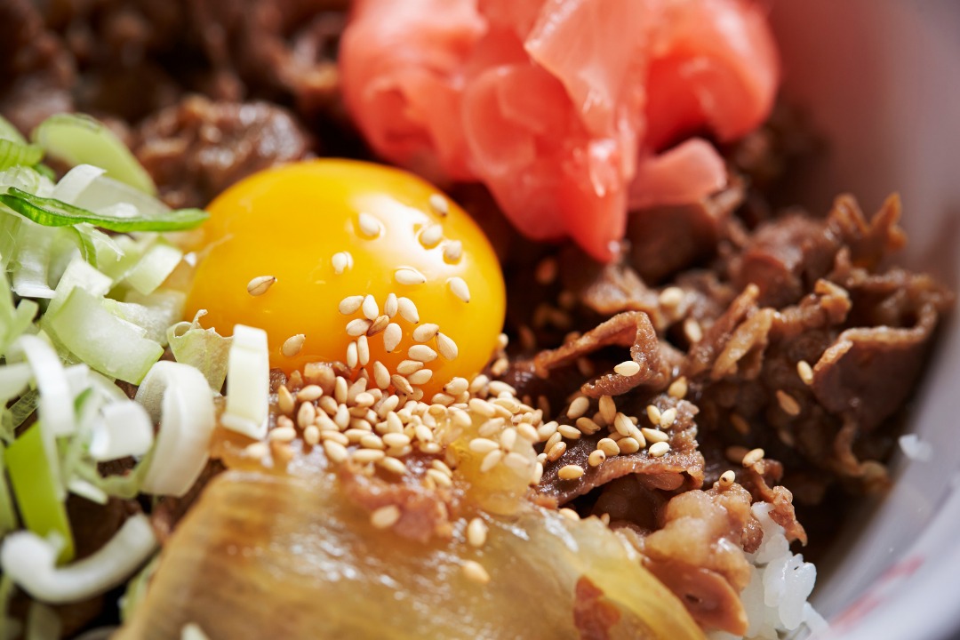 japanese food, japanese fast food, gyuudon, fasto food, beef bowl