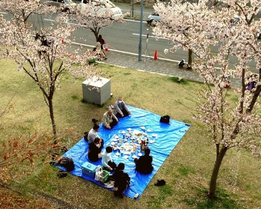picnic spots in tokyo