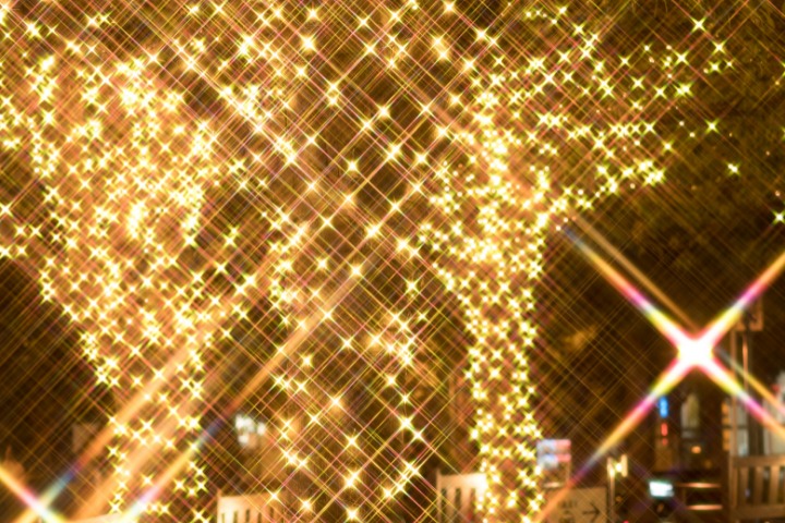 tokyo christmas illuminations lights