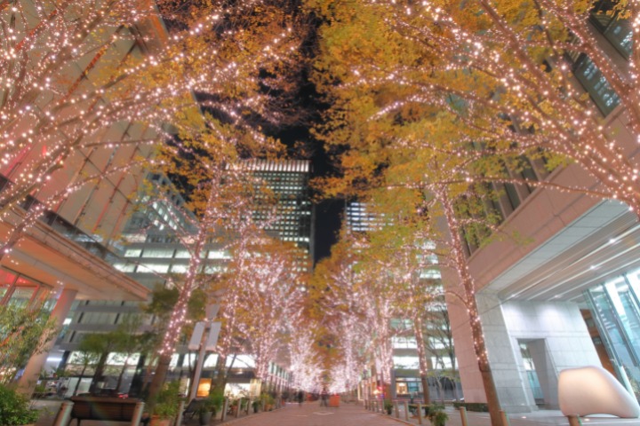 tokyo christmas illuminations marunouchi