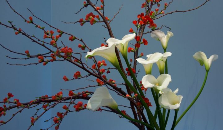 ikebana with white flowers