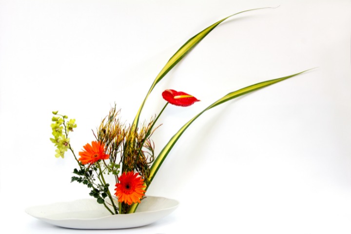 ikebana japanese flower arrangement with bright red flower