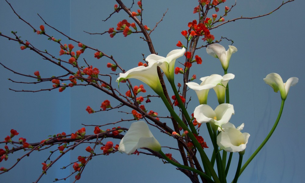 ikebana with white flowers
