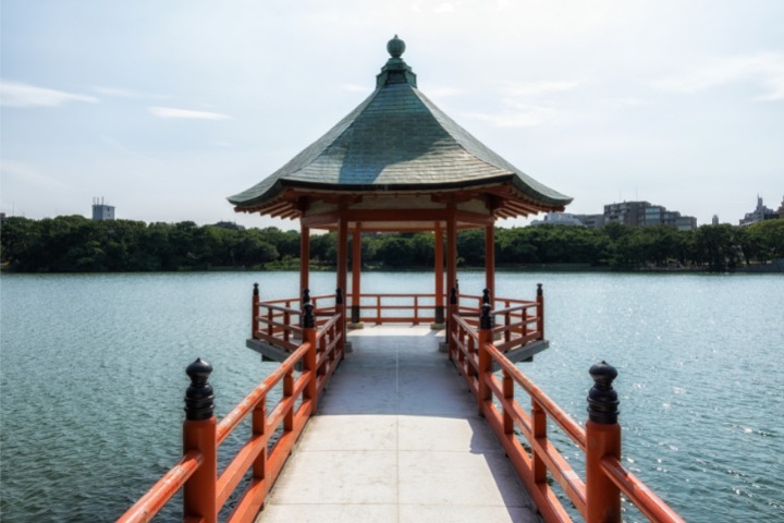things to do in fukuoka, ohori park, fukuoka, ohori park fukuoka, fukuoka travel, ohori, ohorikoen, kyushu, kyushu travel, japan, japan travel, park, lake, park and lake, lake in park