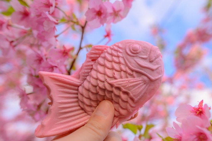 Pink sakura taiyaki with sakura flower in the background