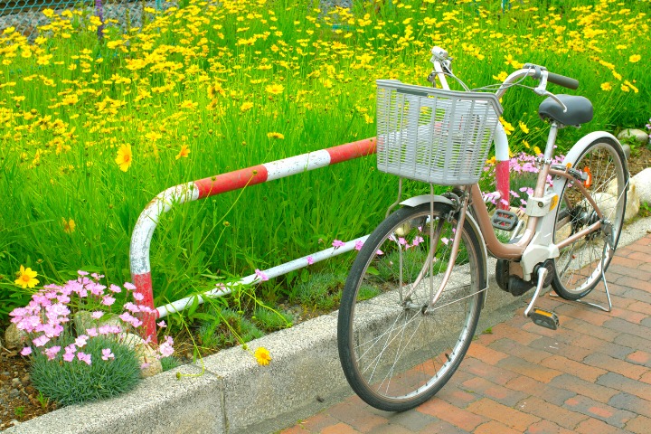 photo of a bike by the side of a path in Japan