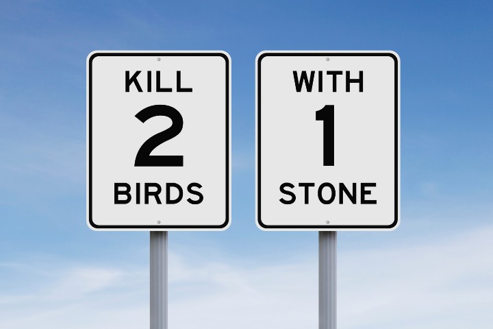 One of famous Japanese proverbs 2 signs say kill 2 birds with 1 stone