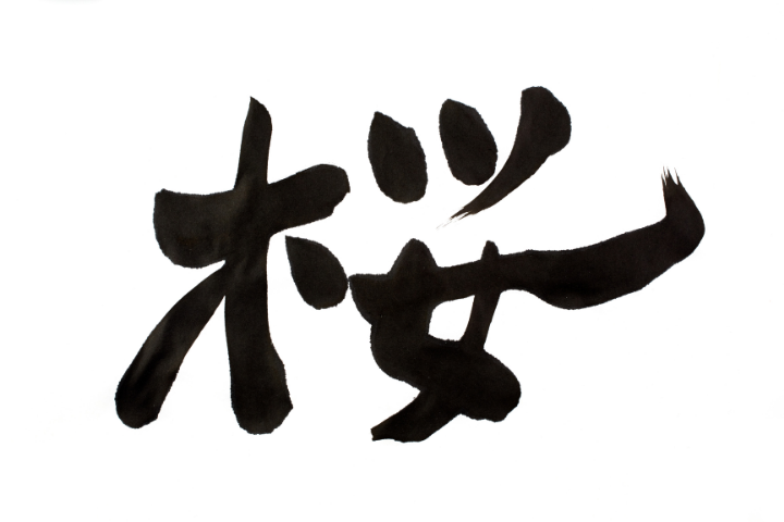 picture of japanese calligraphy sakura character as a possible kira kira name choice character