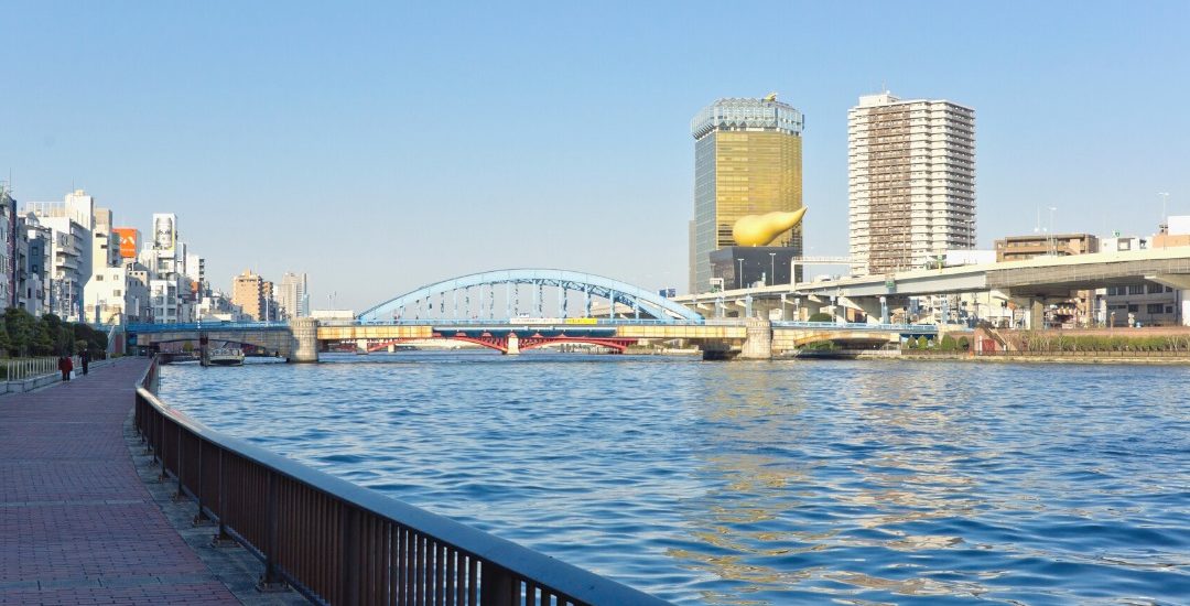 a photo of sumida river side walk and the river