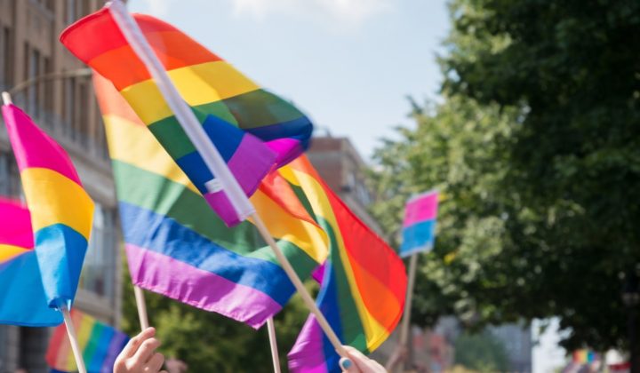 A photo of hands raised holding up rainbow flags for a pride parade