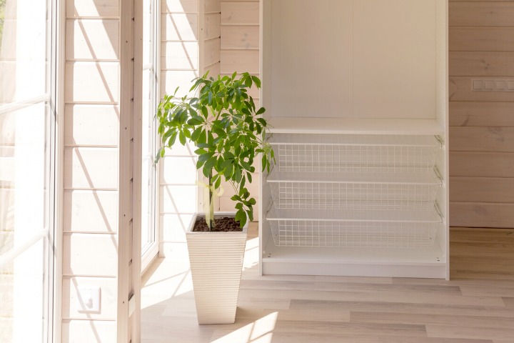 a photo of a potted plant and open wardrobe bought online shopping in Japan from IKEA
