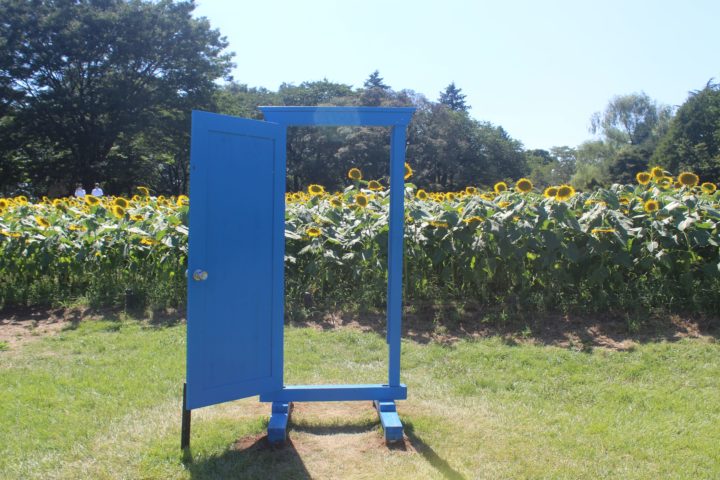 a photo of showa memorial park flowers during the summer in japan