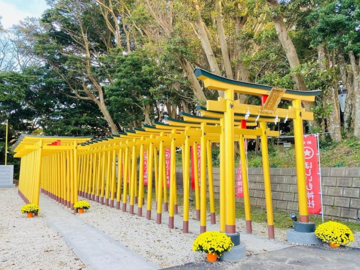 a photo of a set of golden torii gates 
