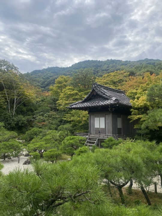 Solo Travel in Japan Kyoto garden