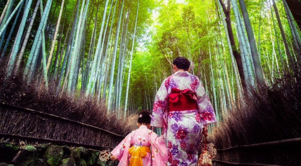 go to travel kyoto bamboo