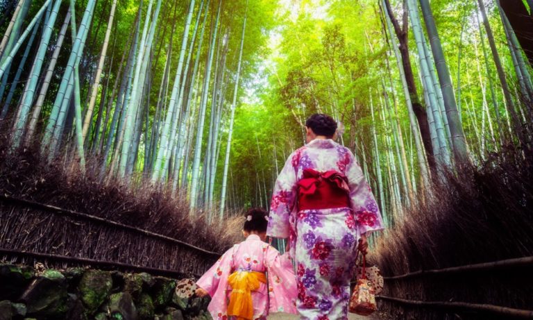 go to travel kyoto bamboo
