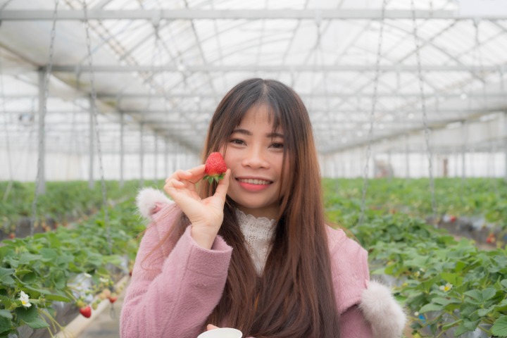 strawberry_picking_girl_holding_strawberry