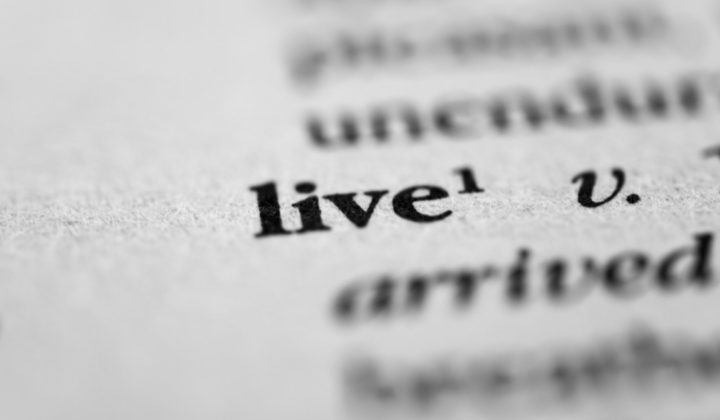 the word live in dictionary