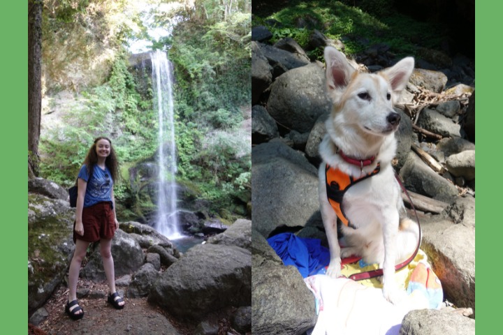 What to bring to Yuhi falls for you and your dog