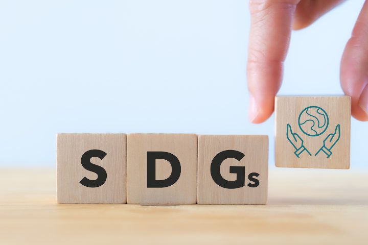 SDG letter blocks
