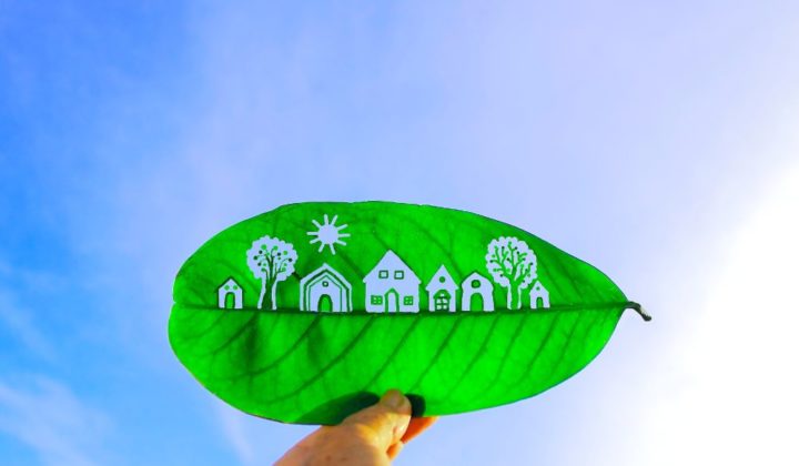 eco-town cut out on leaf