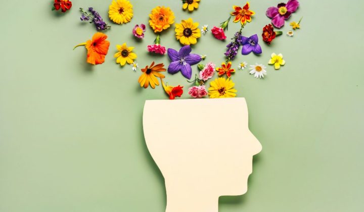 Mental health, cutout of head with flowers coming out of the top