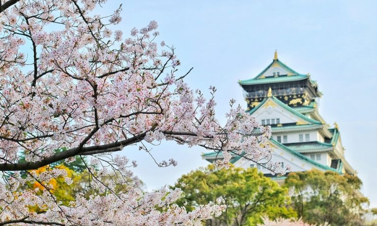overtourism in japan castle image