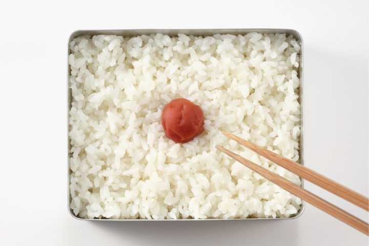 japanese bento