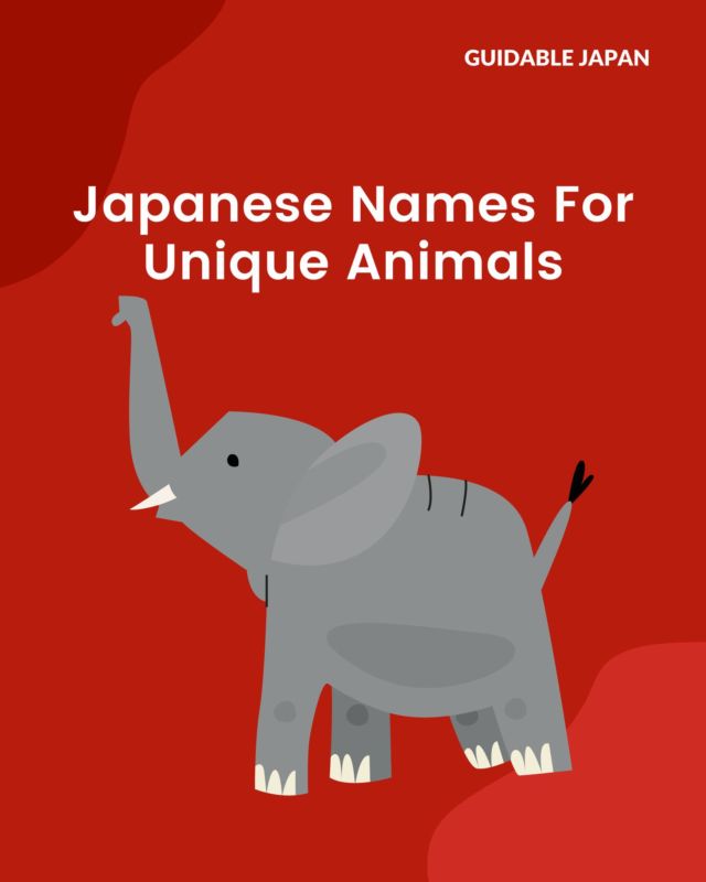 Want to impress people with your biology vocab? Here are some Japanese names for unique animals! 🐟

What's your favourite?