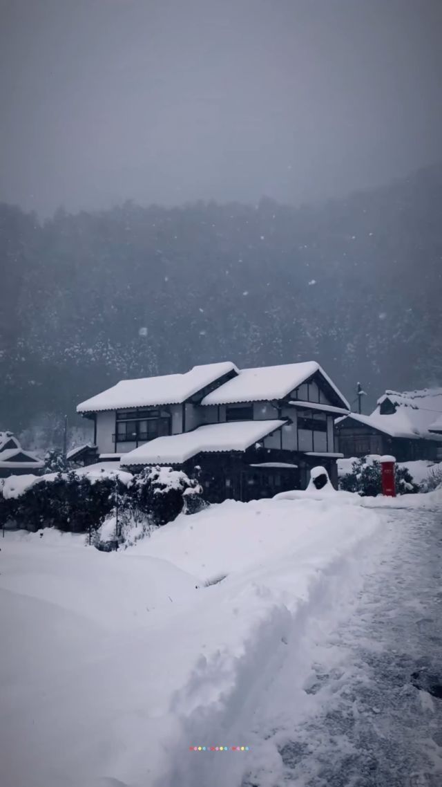 Winter in Japan can be cold 🥶, but seeing everything covered in snow ❄️ makes for a beautiful view. Especially when walking the streets of Kyoto ⛩️

🎥✨: @e.indrawati
📍: Kayabuki no Sato, Nantan, Kyoto