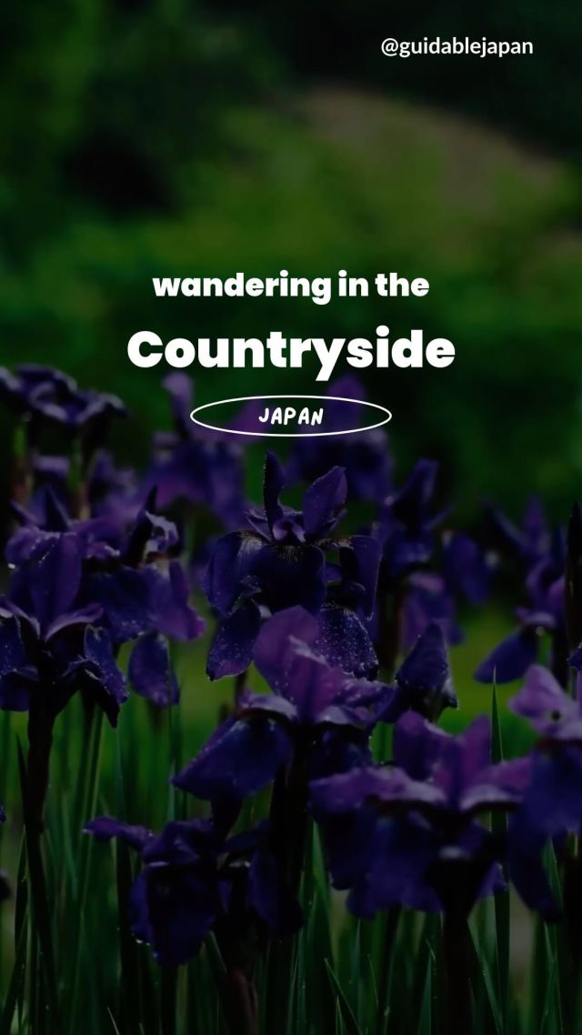 Take out your virtual umbrellas☂️everyone! 
As we enter the rainy🌧️ season in Japan, we can enjoy the sounds and views from indoors.

Share your ✨favorite✨ spots in Japan🇯🇵 to explore on a rainy day.

Have you explored the tranquil 😌 side of Japan yet?

🎥 @joshs.eye
📍Japan

👉Follow @guidablejapan for all the essential info on living in Japan 🇯🇵
👉Tag @guidablejapan and follow us for a chance to be featured on our feed!
